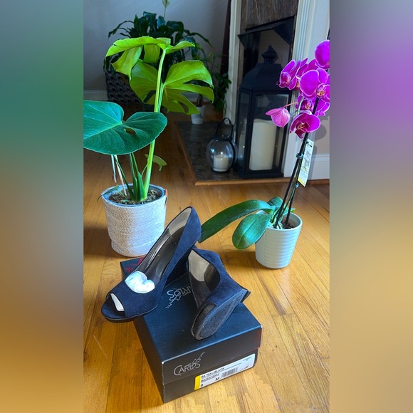 Black Carlos Heels | Never Worn - Picture 1 of 3